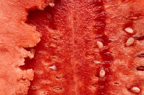 watermelon可数吗(关于西瓜，您知道它能否被数吗？)