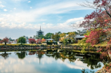 【奈良旅游攻略】探寻奈良的历史与文化遗产
