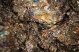 探访苏州金鸡湖里的珍贵矿物——苏烟铂晶